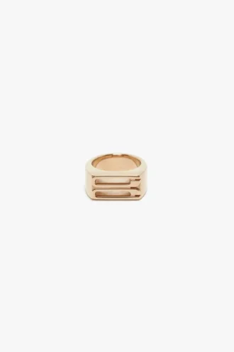 Dorian signet ring in gold
