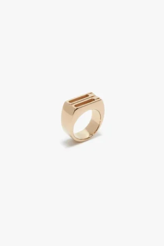Dorian signet ring in gold