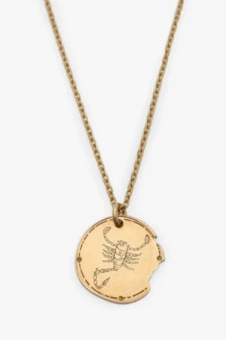 Scorpio zodiac necklace