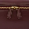 Vanity crossbody in burgundy leather